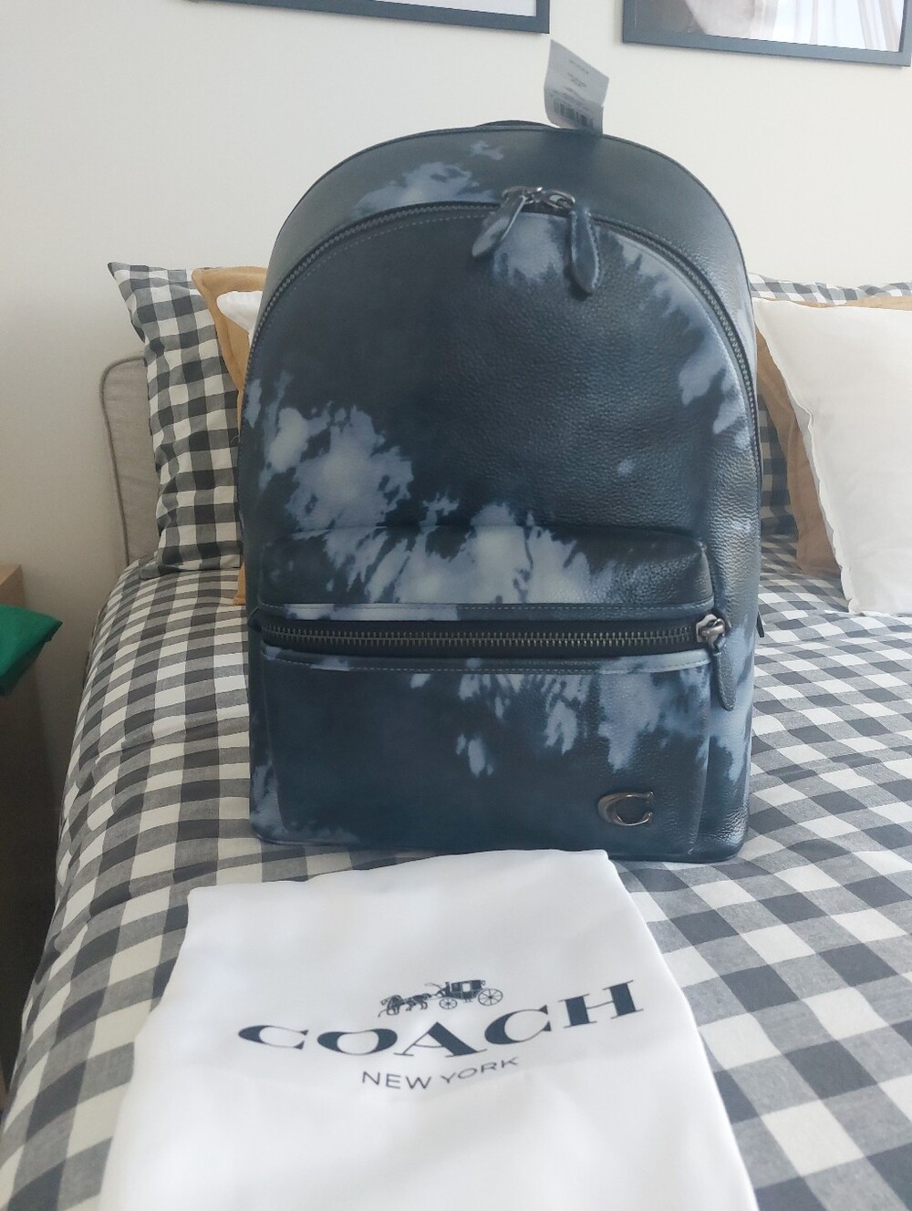NWT Coach Large Charter Backpack Pebble Leather With Tie Dye Print